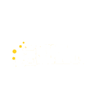 Create a Website
