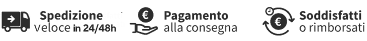 spedizione veloce rapida.webp